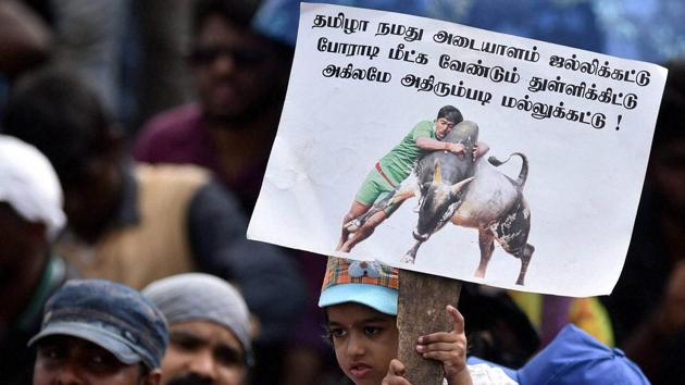 Two killed during Jallikattu event in TN, protesters demand 'permanent  solution' | Latest News India - Hindustan Times