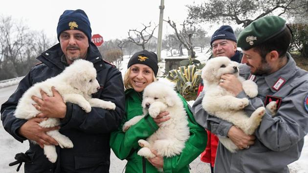 Rescuers hold three puppies that were found alive in the rubble of the avalanche-hit Hotel Rigopiano, near Farindola, central Italy, Monday. (AP Photo) Rescuers hold three puppies that were found alive in the rubble of the avalanche-hit Hotel Rigopiano, near Farindola, central Italy, Monday. (AP Photo)