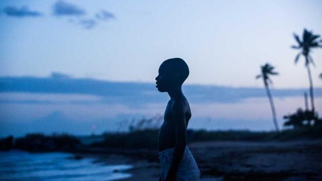 Moonlight: A timeless story of human self-discovery and connection, Moonlight chronicles the life of a young black man from childhood to adulthood as he struggles to find his place in the world while growing up in a rough neighborhood of Miami.