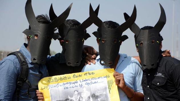 Jallikattu supporters at Marina beach in Chennai before the protests were called off. (V. SRINIVASULU / Hindustan Times) Jallikattu supporters at Marina beach in Chennai before the protests were called off. (V. SRINIVASULU / Hindustan Times)