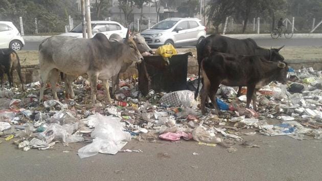 The solid waste generated in the two cities is dumped on vacant plots and roadside, in the absence of a scientific mechanism. (HT FILE) The solid waste generated in the two cities is dumped on vacant plots and roadside, in the absence of a scientific mechanism. (HT FILE)