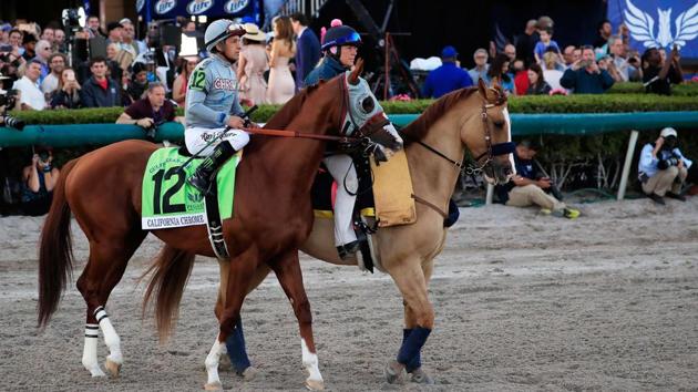 Victor Espinoza atop California Chrome parades prior to the $12 Million Pegasus World Cup Invitational at Gulfstream Park on January 28, 2017 in Hallandale, Florida. (Cliff Hawkins / AFP)