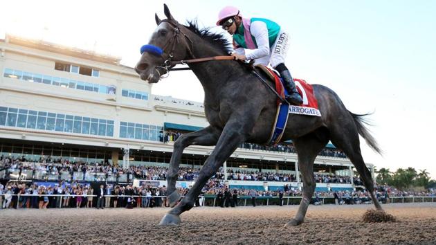 Arrogate crosses the finish line to win the $12 Million Pegasus World Cup Invitational at Gulfstream Park on January 28, 2017 in Hallandale, Florida. (Mike Ehrmann / AFP)
