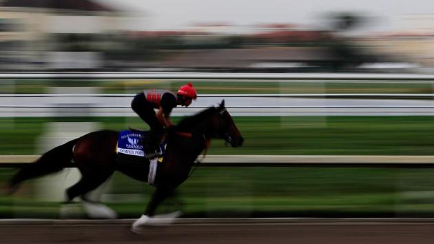 A jockey riding his horse at the $12 Million Pegasus World Cup Invitational at Gulfstream Park on January 28, 2017 in Hallandale, Florida. (Bobby Yip / REUTERS)