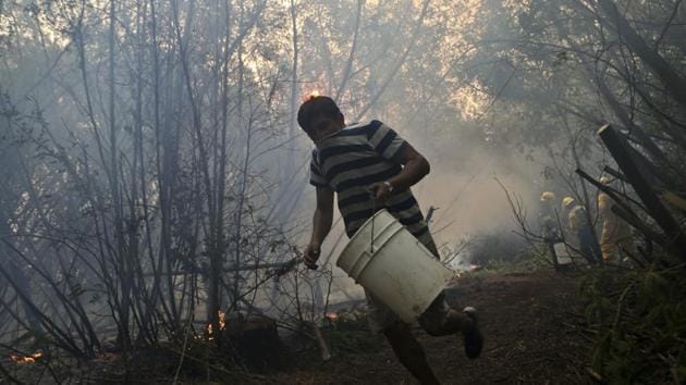 A residents helping firefighters runs with an empty water bucket as they fight a forest fire in Paso El Leon, in Concepcion, Chile, Saturday, Jan. 28, 2017. Emergency services have battled the flames non-stop for days with thousands of firefighters on the ground and helicopters and airplanes in the air. (Esteban Felix / AP) A residents helping firefighters runs with an empty water bucket as they fight a forest fire in Paso El Leon, in Concepcion, Chile, Saturday, Jan. 28, 2017. Emergency services have battled the flames non-stop for days with thousands of firefighters on the ground and helicopters and airplanes in the air. (Esteban Felix / AP)