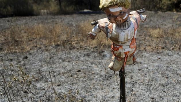 A scarecrow stands in a field of potatoes destroy by fire in Florida, Chile, Saturday, Jan. 28, 2017 (Esteban Felix / AP) A scarecrow stands in a field of potatoes destroy by fire in Florida, Chile, Saturday, Jan. 28, 2017 (Esteban Felix / AP)