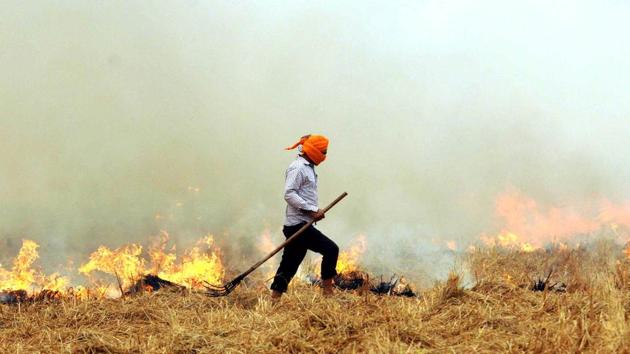 Patiala, India-20 October 2016:::Despite ban, a farmer burns paddy stubble in a field in Patiala, Punjab. (HT photo) Patiala, India-20 October 2016:::Despite ban, a farmer burns paddy stubble in a field in Patiala, Punjab. (HT photo)