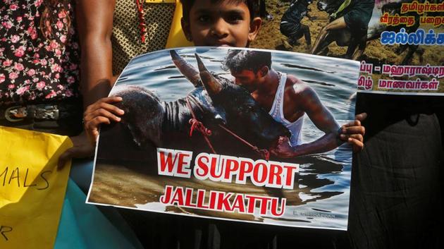 A child holds a sign during a protest demanding a reverse of the Supreme Court ban on the traditional bull-taming contest, known as Jallikattu, in Mumbai.(REUTERS) A child holds a sign during a protest demanding a reverse of the Supreme Court ban on the traditional bull-taming contest, known as Jallikattu, in Mumbai.(REUTERS)