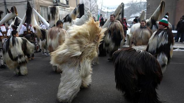 Dancers wearing costumes made of animal fur take part in the International Festival of Masquerade Games Surva in Pernik, Bulgaria on Sunday. (REUTERS) Dancers wearing costumes made of animal fur take part in the International Festival of Masquerade Games Surva in Pernik, Bulgaria on Sunday. (REUTERS)