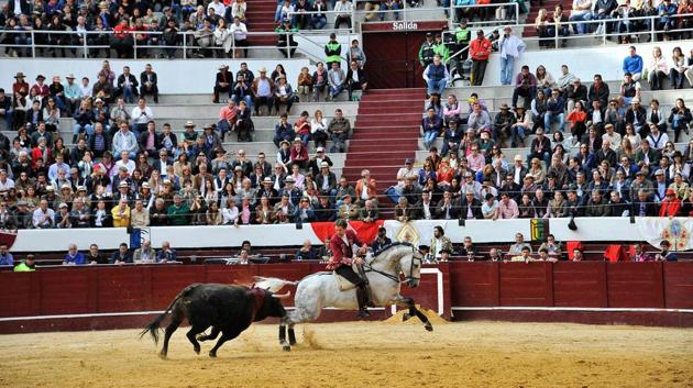 Spanish "rejoneador" Pablo Hermoso de Mendoza rides on a horse during the bullfight. (GUILLERMO LEGARIA / AFP Photo) Spanish "rejoneador" Pablo Hermoso de Mendoza rides on a horse during the bullfight. (GUILLERMO LEGARIA / AFP Photo)