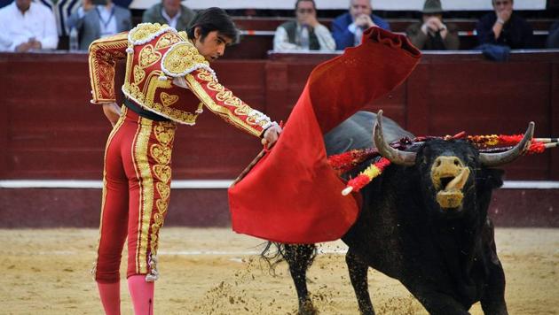 Spanish bullfighter Miguel Angel Perera performs during a bullfight at the Santamaria bullring in downtown Bogota on January 29, 2017. (GUILLERMO LEGARIA / AFP) Spanish bullfighter Miguel Angel Perera performs during a bullfight at the Santamaria bullring in downtown Bogota on January 29, 2017. (GUILLERMO LEGARIA / AFP)