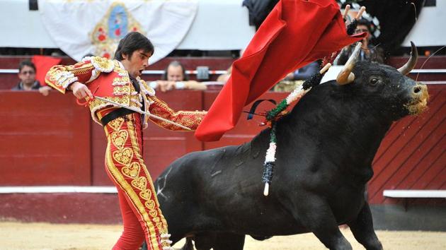 Spanish bullfighter Miguel Angel Perera pierces the bull with a weapon, in Colombia. (GUILLERMO LEGARIA / AFP Photo) Spanish bullfighter Miguel Angel Perera pierces the bull with a weapon, in Colombia. (GUILLERMO LEGARIA / AFP Photo)