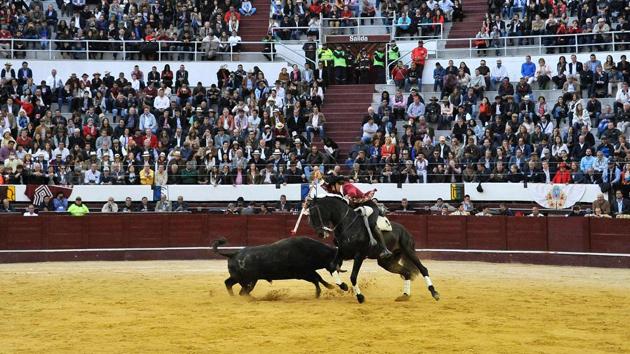 The historic Santamaria bullring starts the bullfighting season of "Freedom". (GUILLERMO LEGARIA / AFP Photo) The historic Santamaria bullring starts the bullfighting season of "Freedom". (GUILLERMO LEGARIA / AFP Photo)