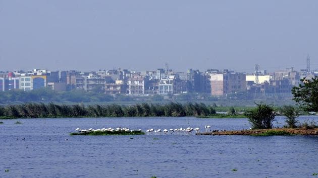 Two years ago, road transport and highway minister Nitin Gadkari ordered a study to check feasibility of waterway between the two cities. Two years ago, road transport and highway minister Nitin Gadkari ordered a study to check feasibility of waterway between the two cities.