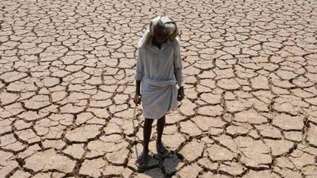 A dried up cotton field in Hyderabad. (AFP file photo) A dried up cotton field in Hyderabad. (AFP file photo)