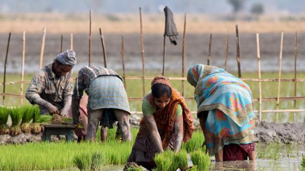 A large number of initiatives have been proposed in the budget. Like in the past year’s budget, the government has again stated its commitment to double farm incomes in five years’ time(REUTERS)