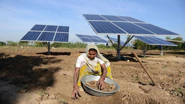 A farmer Kusumben Parmar works near solar panels, which help to pump water to irrigate her fields in the village of Dhundi, some 90km from Ahmedabad.(AFP File Photo)