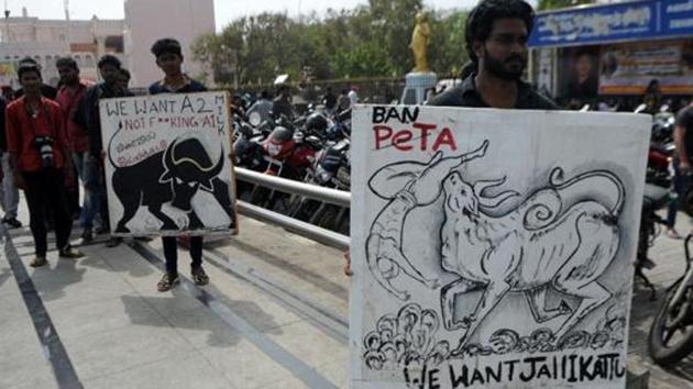 Protesters carry placards during a demonstration against the ban on the Jallikattu and call for a ban on animal rights organisation PETA, in Chennai on January 21, 2017.(AFP File) Protesters carry placards during a demonstration against the ban on the Jallikattu and call for a ban on animal rights organisation PETA, in Chennai on January 21, 2017.(AFP File)