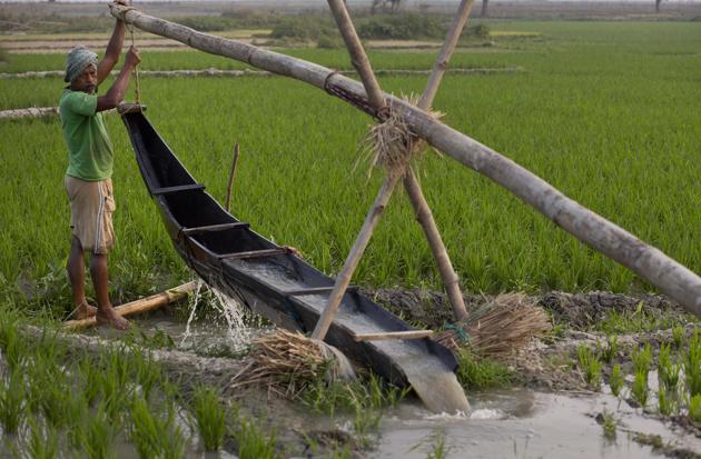 A farmer checks on his traditional method of irrigation at his paddy field in Roja Mayong village, east of Gauhati, India, Wednesday, Feb 1.(AP Photo) A farmer checks on his traditional method of irrigation at his paddy field in Roja Mayong village, east of Gauhati, India, Wednesday, Feb 1.(AP Photo)