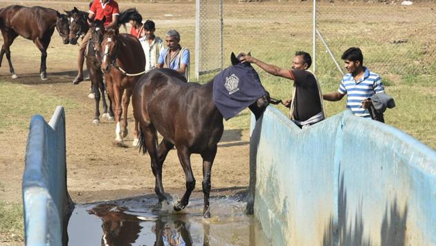 The Indian Derby is a horse-racing event held on the first Sunday of February. (Anshuman Poyrekar/HT PHOTO)