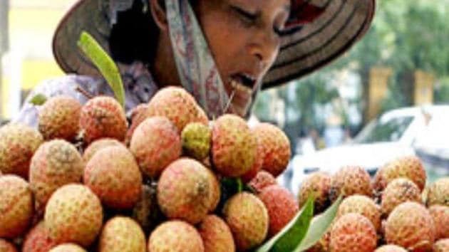 According to a study, most the sick children had consumed litchi recently and were also six times more likely to have visited a fruit orchard in the last 24 hours. According to a study, most the sick children had consumed litchi recently and were also six times more likely to have visited a fruit orchard in the last 24 hours.