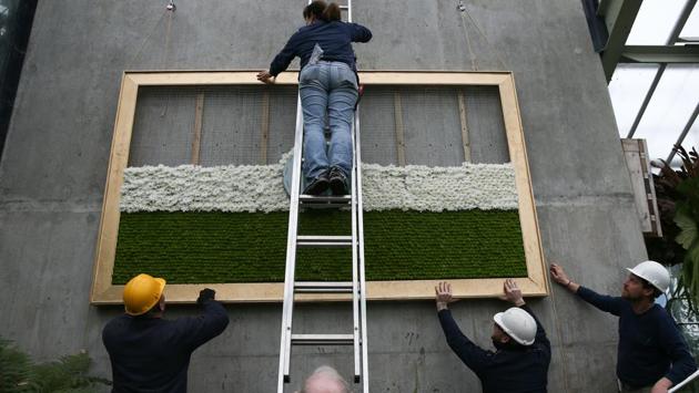 Employees work on a flower-made Indian flag, created from 900 chrysanthemums. (AFP) Employees work on a flower-made Indian flag, created from 900 chrysanthemums. (AFP)