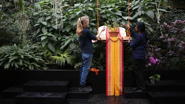 Employees pose next to a traditional Indian Tulsi (basil) plant. (AFP photo) Employees pose next to a traditional Indian Tulsi (basil) plant. (AFP photo)
