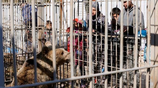 Children look at a bear at Nour Park in Mosul's zoo. (REUTERS photo) Children look at a bear at Nour Park in Mosul's zoo. (REUTERS photo)