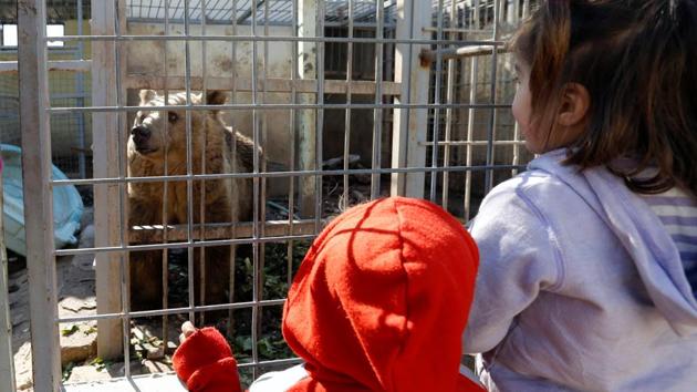 A bear enclosure at Mosul zoo. (REUTERS) A bear enclosure at Mosul zoo. (REUTERS)
