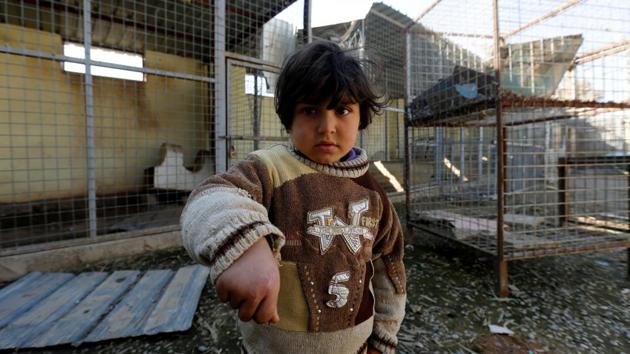 A child shows his hand bit by a monkey at Mosul zoo, Iraq. (REUTERS photo) A child shows his hand bit by a monkey at Mosul zoo, Iraq. (REUTERS photo)