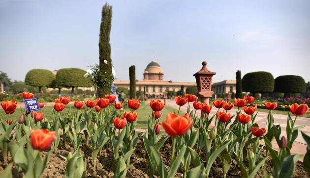 Red Tulips. The Mughal Gardens combines many elements of British garden art. Mughal canals and terraces at different levels and flowering shrubs fuse with European flower beds, lawns and privet hedges. (Sonu Mehta/HT PHOTO) 
