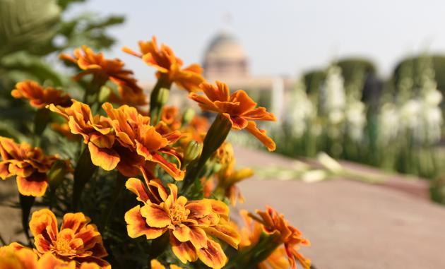 The geometrical decorum and the play with water which are the essence of Mughal Gardens have been combined with the organized caprice of a British garden. (Sonu Mehta/HT PHOTO) 
