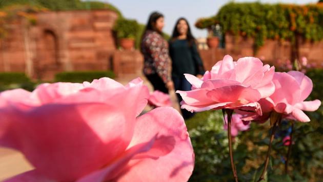 Indigenous trees and shrubs, fountains, water channels and ponds were added to bring in a sense of coolness and purity. (Sonu Mehta/HT PHOTO) 
