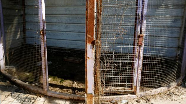 A cage of an animal at Nour Park in Mosul's zoo, Iraq. There used to be four lions. When the first two died, the surviving lions ate their remains amid the chaos. (REUTERS photo) A cage of an animal at Nour Park in Mosul's zoo, Iraq. There used to be four lions. When the first two died, the surviving lions ate their remains amid the chaos. (REUTERS photo)