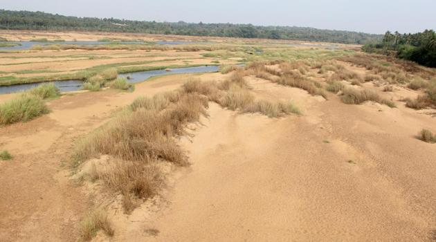 Kerala, Karnataka and Tamil Nadu are all staring at catastrophic droughts.(File Photo)