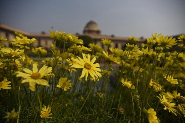 The Mughal Gardens at Rashtrapati Bhavan are opening to the public on February 5.(HT File Photo)