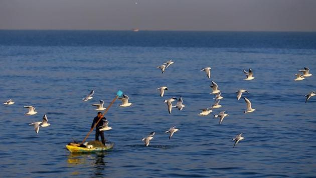 Seagulls fly over a Palestinian fisherman in Gaza City. (MOHAMMED ABED / AFP)