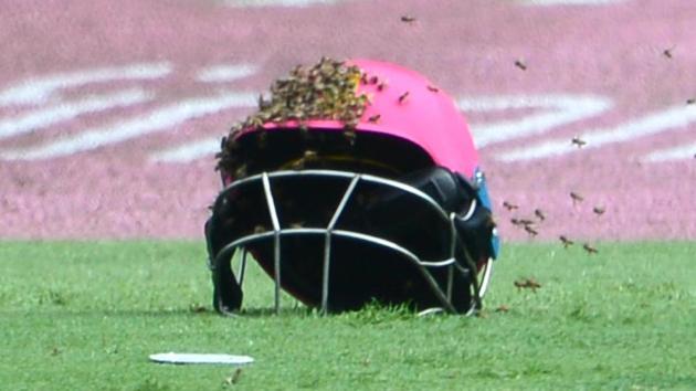 The third ODI between South Africa vs Sri Lanka was held up for close to one hour by a swarm of bees that had invaded the Wanderers stadium.(Getty Images) The third ODI between South Africa vs Sri Lanka was held up for close to one hour by a swarm of bees that had invaded the Wanderers stadium.(Getty Images)