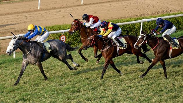 Hall Of Famer, ridden by David Allen, crosses the finish line, ahead of second-placed Serjeant At Arms and third-placed Temerity at the Mahalaxmi Racecourse in Mumbai. (Kunal Patil/Hindustan Times) 