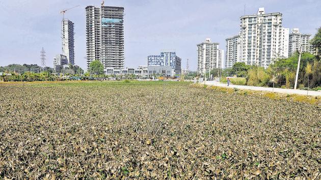 The entitlement of the land in question and the mutation has been in a dispute for over three decades.(HT File) The entitlement of the land in question and the mutation has been in a dispute for over three decades.(HT File)