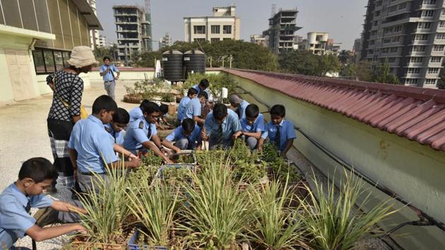 Students of Chembur’s Our Lady of Perpetual Succour (OLPS) High School work at their terrace garden.(Arijit Sen/HT)