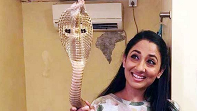 Shruti Ulfat dismissed the reports of her arrest. Shruti Ulfat dismissed the reports of her arrest.