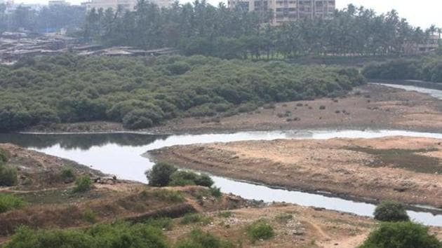 In 2005, the Bombay high court banned the destruction of statewide mangroves and construction within 50m of them