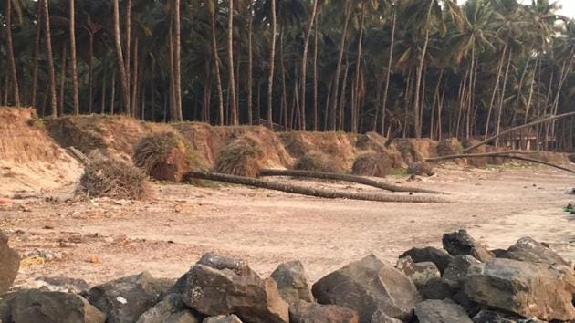 In 2014, the National Green Tribunal (NGT) had banned sand mining in the coastal regions of several states, including Maharashtra, citing its harmful impact on the environment.(HT Photo) In 2014, the National Green Tribunal (NGT) had banned sand mining in the coastal regions of several states, including Maharashtra, citing its harmful impact on the environment.(HT Photo)