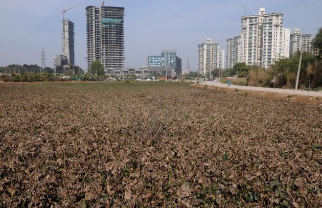 MCG has sent notices to individuals to vacate the land in Gwal Pahari(Parveen Kumar/HT Photo) MCG has sent notices to individuals to vacate the land in Gwal Pahari(Parveen Kumar/HT Photo)