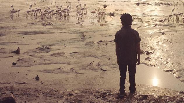 Majidi is best known for world cinema classics like The Song of Sparrows, Baran, The Color of Paradise and Children of Heaven. Majidi is best known for world cinema classics like The Song of Sparrows, Baran, The Color of Paradise and Children of Heaven.