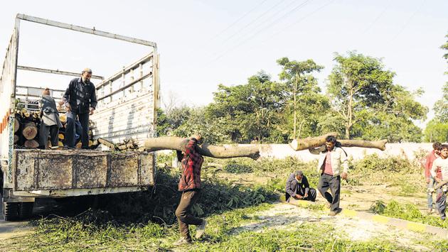 With no law in place, the developers find it easy to cut trees in Gurgaon.(PARVEEN KUMAR/HT PHOTO) With no law in place, the developers find it easy to cut trees in Gurgaon.(PARVEEN KUMAR/HT PHOTO)