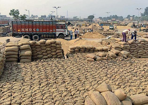 The value of physical food stocks in godowns should match the money that the Centre sanctions through banks for procurement of foodgrains under the cash credit limit.(HT File Photo)