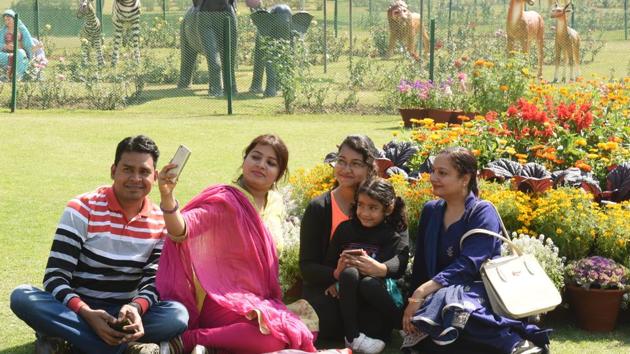 Tourists basking in the sun at Rose Garden on Thursday. (Sanjeev Sharma/HT Photo) 