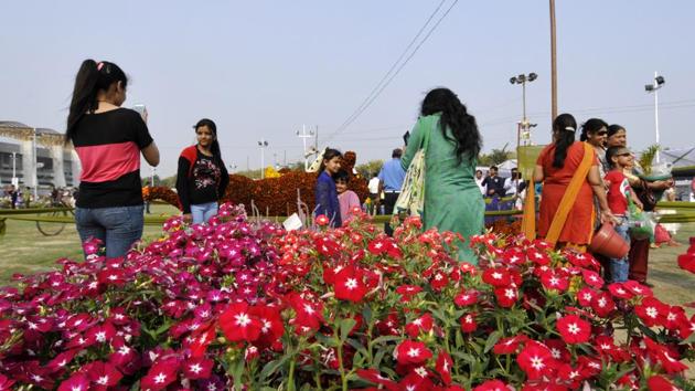 The Greater Noida authority has prepared around 1,500 saplings, including outdoor and indoor plants, for gifting children.(Sunil Ghosh/HT File Photo)